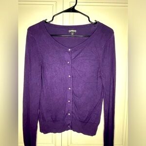 Express Small Purple Sweater